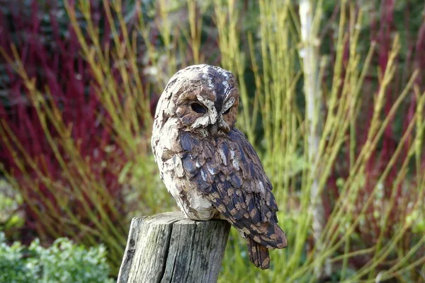 Tawny owl looking down from a post, apparently searching for the next meal, sidelight with sunlight. Natural foliage background. Realistic carved and painted sculpture which deceives the eye.