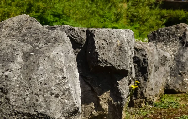 Yıpranmış granit taş hatları, bariyer olarak kullanılıyor. Sığ alan derinliğinde desenli bir görüntü. Bokeh geçmişi. İngiltere