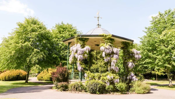 Halka açık bir parkta çatıda rüzgar gülü olan eski bir orkestra ya da pavyon. Wisteria kaplıydı, ılık yaz gününde çerçevede kimse yoktu. Hafif bulutlu mavi gökyüzü olan ağaç astarlı. Dorset.