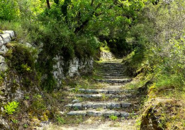  İzole edilmiş eski bir taş, eski duvarları aşarak yükselen bir patika. Yaban çiçekleri, doğal gölgelerle tepede gün ışığına çıkarılmış. Lopud, Hırvatistan