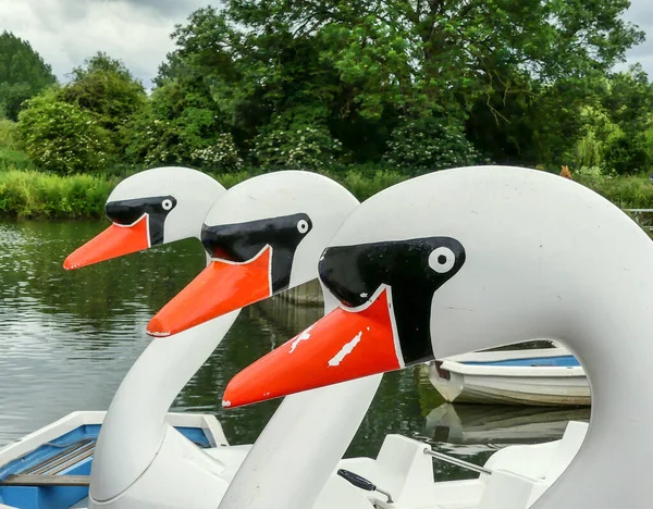 Close Vintage Swan Pedalo Heads Paint Losses Scratches Use Moored — Stock Photo, Image