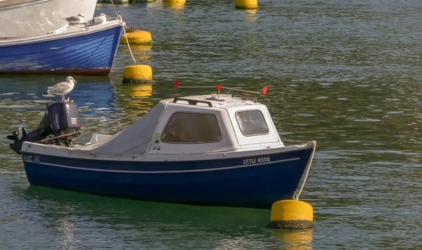 Fowey, Cornwall. İngiltere - 21 Eylül 2020: Küçük Rosie adında bir Orkney 440 Coastliner balıkçı teknesi nehirde demirlemiş. Martı deniz motoruna tünemiş. Kopyalamak için alanı olan manzara resmi.