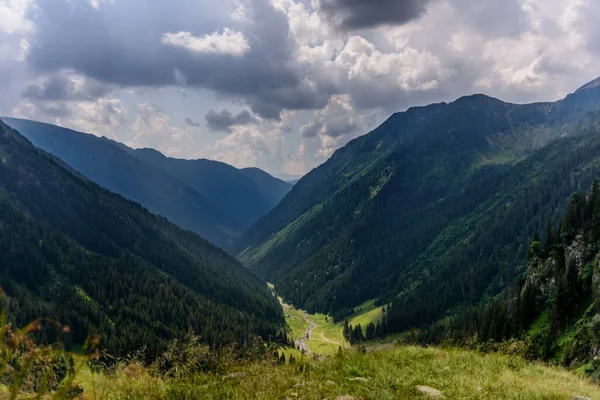 Fagaras山绿油油的夏季华莱雅 — 图库照片