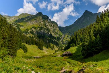 Valea Rea 'dan (Kötü Vadi) yemyeşil ve renkli doğal manzara, Fagaras Dağı