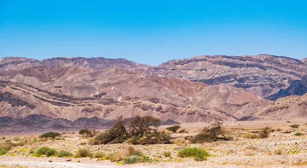 Negev Woestijn Landschap Uitzicht Zomer — Stockfoto