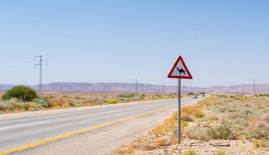 Çölde bir deve geçidi tabelası var.