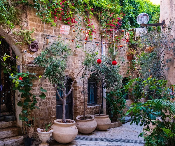 Eski Jaffa şehrinin güzel eski bir bahçesi, İsrail .