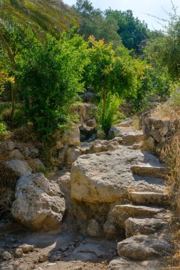 Arkeolojik alanda eski bir taş merdivenin kalıntıları.