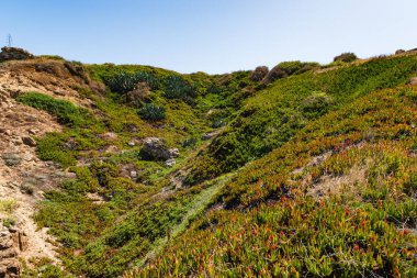 Apollonia Ulusal Parkı 'ndaki yeşil tepeler, İsrail