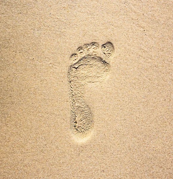 Fußabdruck im Sand des Meeresstrandes Stockbild