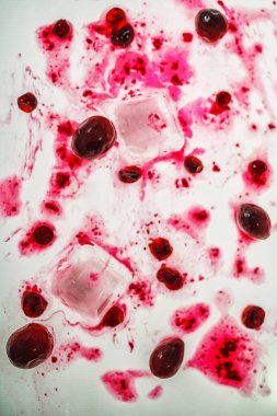 Beyaz Arkaplanda Buz Küplü Kızılcıklar Soyut Kompozisyonda.