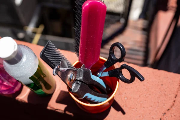 shampoos, brush and nail clippers for dogs aerial view