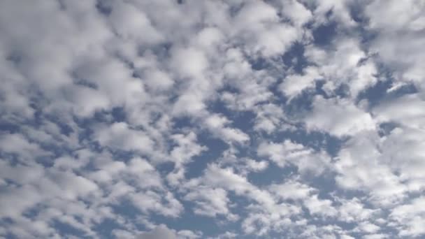 Ciel Bleu Avec Nombreux Nuages Blancs — Video