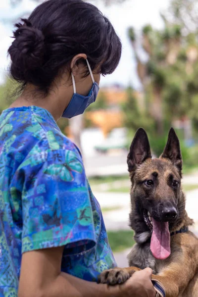 Una Chica Paseando Perro Parque — Foto de Stock