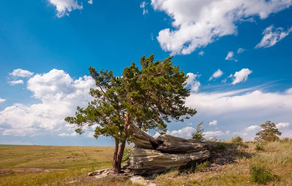 stock image Steppen landscape of Karagai Natural Park, South Ural, Orenburg region, Russia