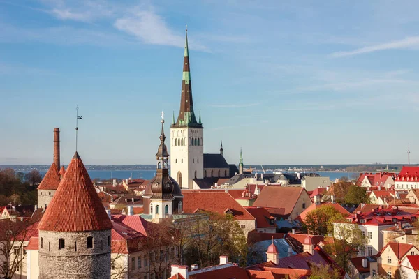 Stadtbild Der Altstadt Von Tallinn Estland Antenne Olaf Kirche — Stockfoto