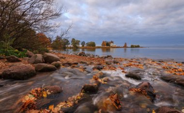 Peterhof, Saint-Petersburg, Rusya 'da altın sonbahar, Aşağı Park' ta Finlandiya körfezi, sarı yapraklar