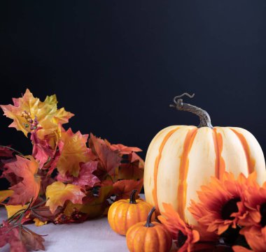 Mutlu Şükran Günleri, balkabağı ve sonbahar yaprağı kopyalama alanı ile süslenmiş siyah arkaplan..