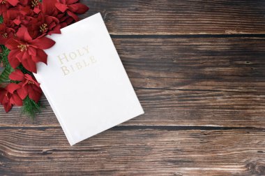 Noel 'de beyaz incil ve tatil arka planında kırmızı noktalı çiçeklerle kilise. Hıristiyan konsepti