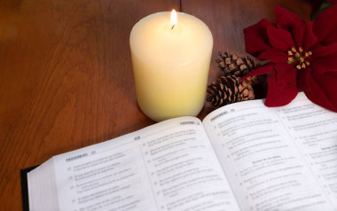 Masanın üzerinde çam kozalakları ve Noel çiçekleri olan bir mum ışığında bir İncil. seçili odak.