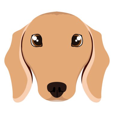 İzole dachshund avatar