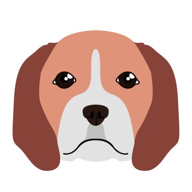 İzole beagle avatar