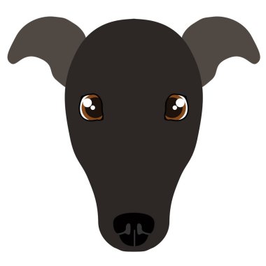 İtalyanca tazı avatar