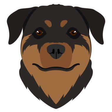 İzole rottweiler avatar
