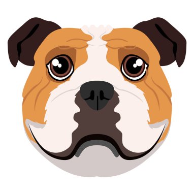 İzole bulldog avatar