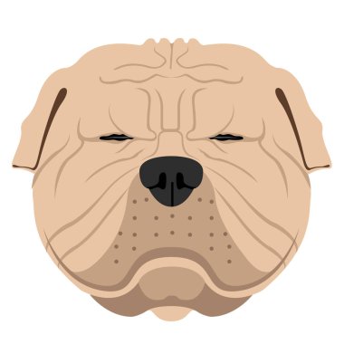 Shar pei avatar