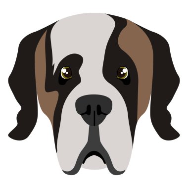 Saint Bernard avatar