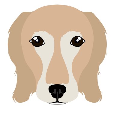 Altın geri almak avatar