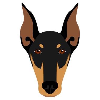 Doberman pinscher avatar