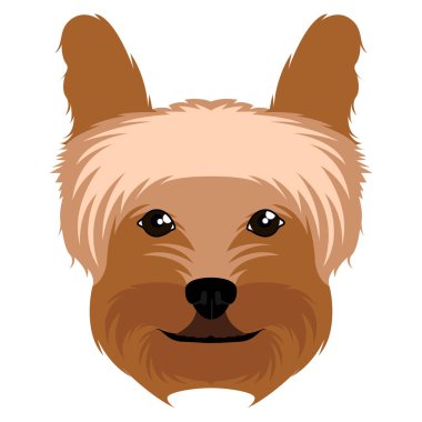 Yorkshire terrier avatar