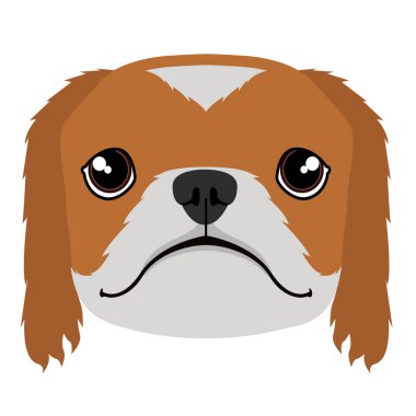 İzole pekingese avatar