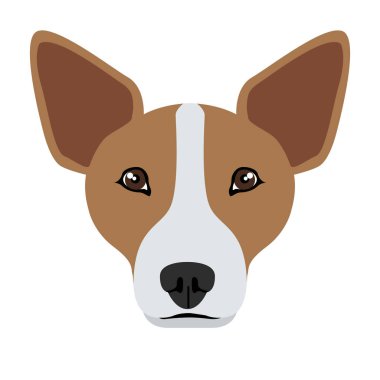 Galce corgi avatar