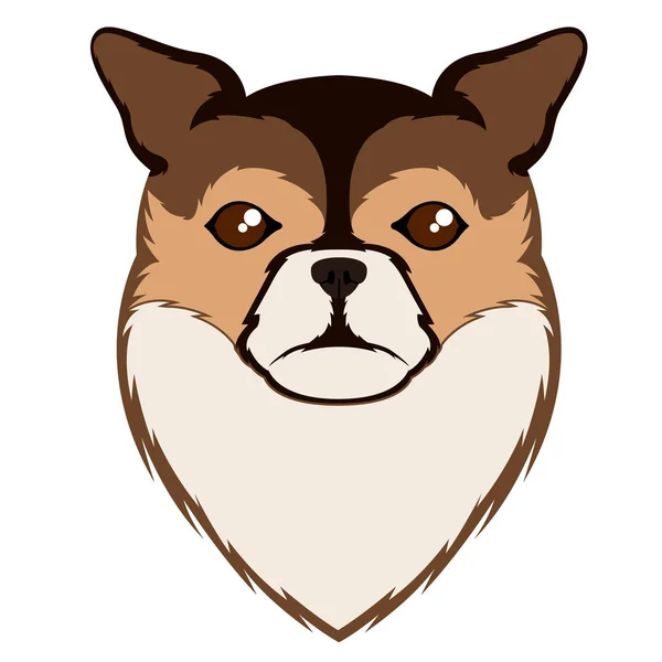 Lang haar chihuahua avatar — Stockvector