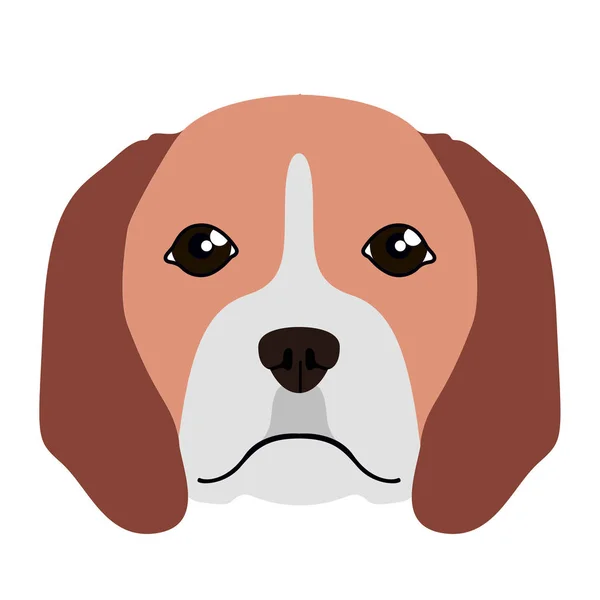 Isolated beagle avatar — Stock Vector