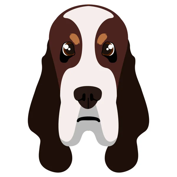 Basset hound avatar — Stock Vector