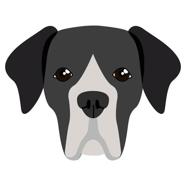 Great dane avatar — Stock Vector