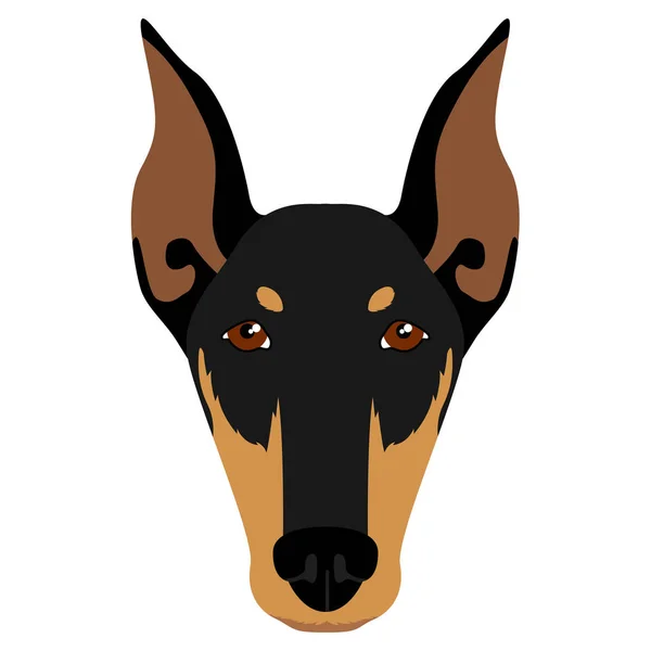 Doberman pinscher avatar — Stok Vektör