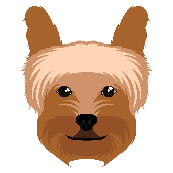 Yorkshire terrier avatar — Vettoriale Stock