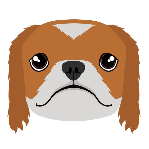 Isolated pekingese avatar — Stock Vector