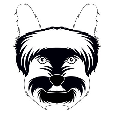 Bir yorkshire terrier avatar silueti