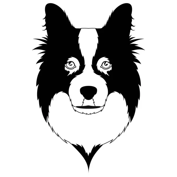 Silhouette of a border collie avatar — Stock Vector
