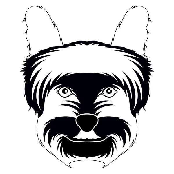 Silueta de un avatar terrier yorkshire — Vector de stock
