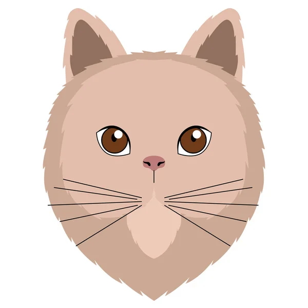 Avatar of a cat. Cat breeds — Stock Vector