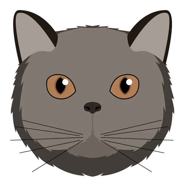 Avatar de gato Nebelung. Raças de gato — Vetor de Stock