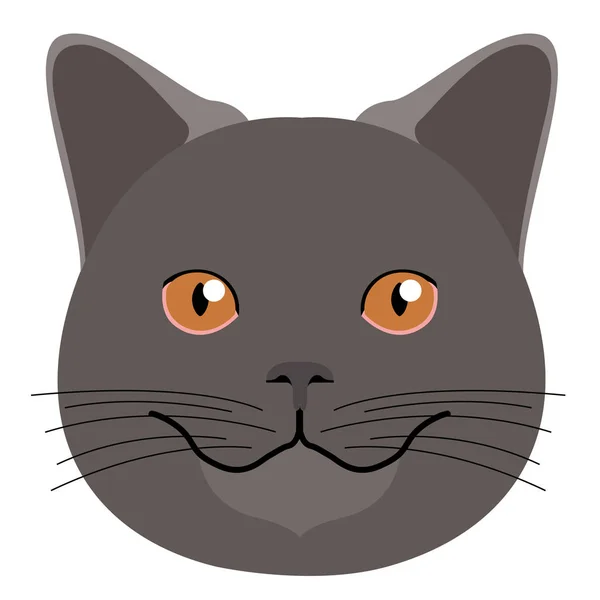 Avatar av en katt. Kattraser — Stock vektor