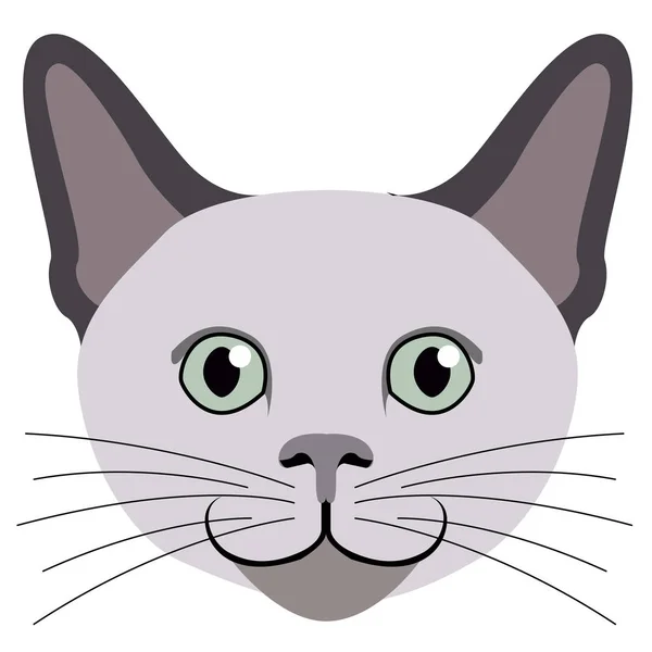 Avatar of a cat. Cat breeds — Stock Vector